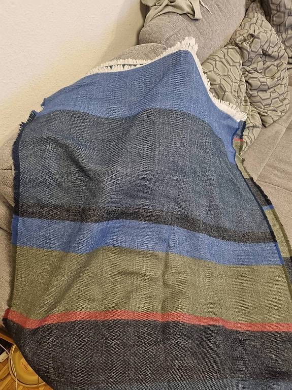 Étole De Luxe Neuve FALIERO SARTI - Avec étiquettes, Valeur 370€, Magnifique Accessoire