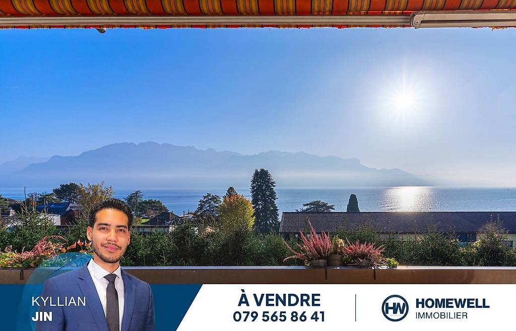 Une Vue Panoramique Exceptionnelle Sur Le Lac Et Les Canton Vaud Acheter Anibis Ch