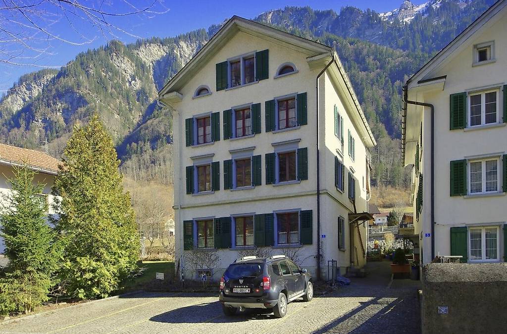 GANZ GROSS Canton Glaris acheter - anibis.ch
