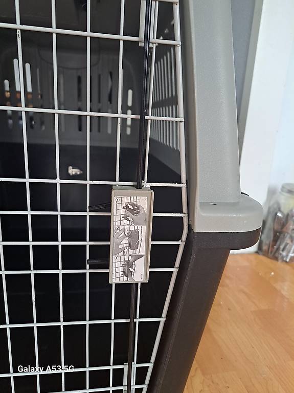 A Saisirun Grand Box De Transport Pour Chien A Petit Prix Canton Vaud