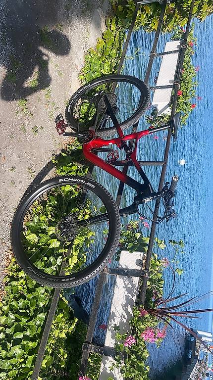 cannondale scalpel 3 2021