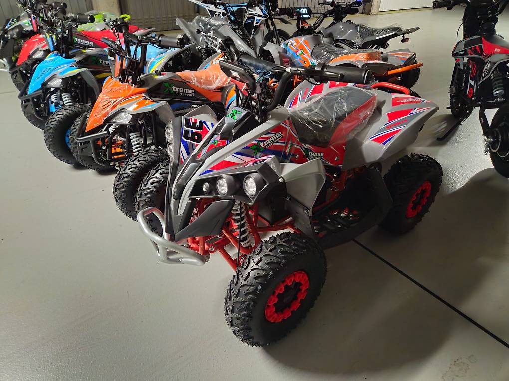 Quad electrique 1200W Canton Genève anibis.ch — free download