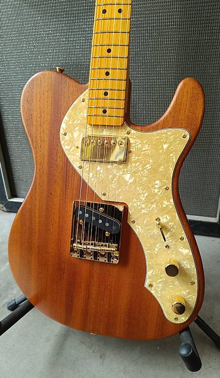Fender Telecaster thinline style with warmoth usa body and h im