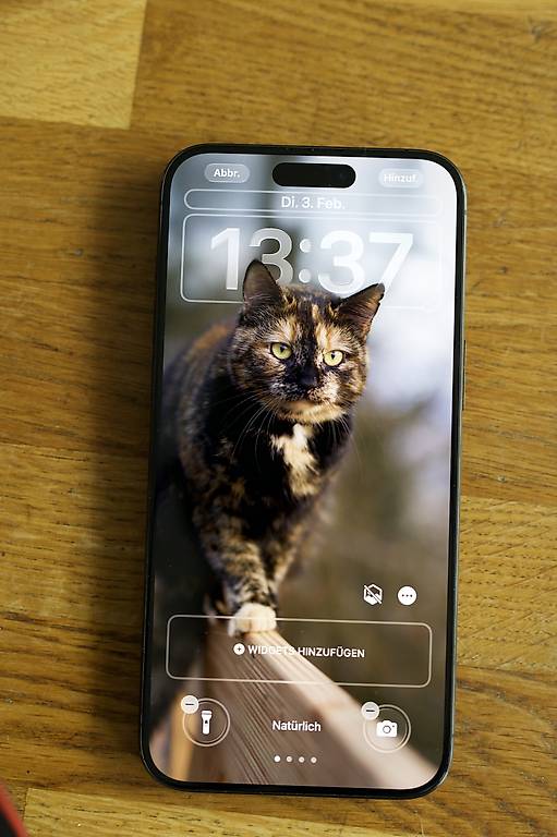 Iphone 15 pro max 256 gb ( mit Garantie) im Kanton Zürich - anibis.ch