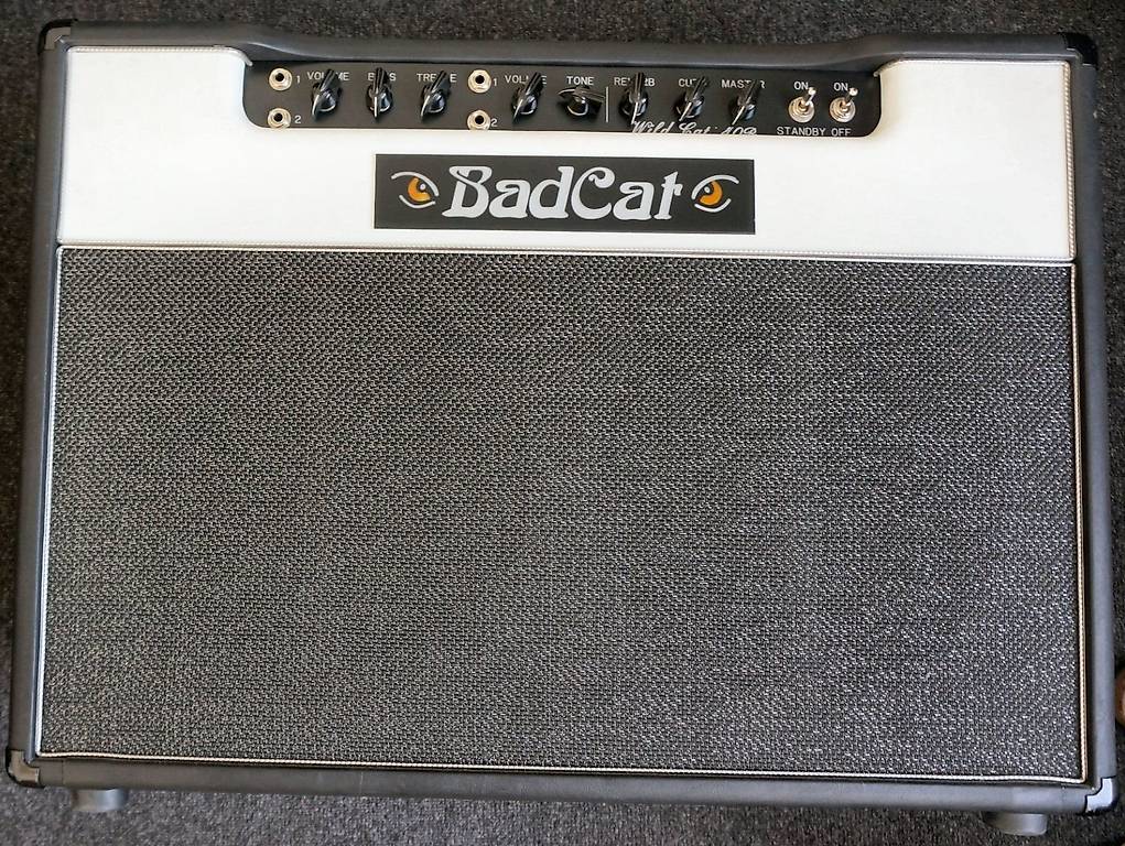 Bad Cat Wild Cat 40R 2x12 40W Guitar Combo im Kanton Genf - anibis.ch