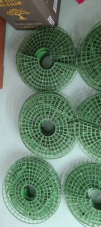 Relaxdays Lot De 10 Supports Pour Fraises - Grille Anti-Limaces Et Anti-Pourriture En PP Vert