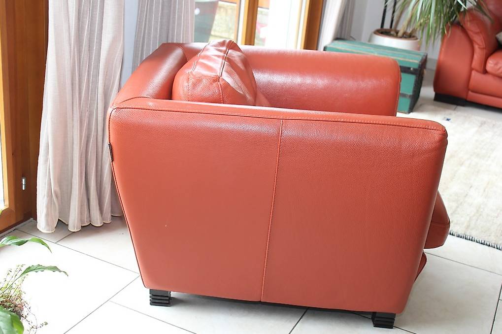 Canapé Roche Bobois Canton Vaud