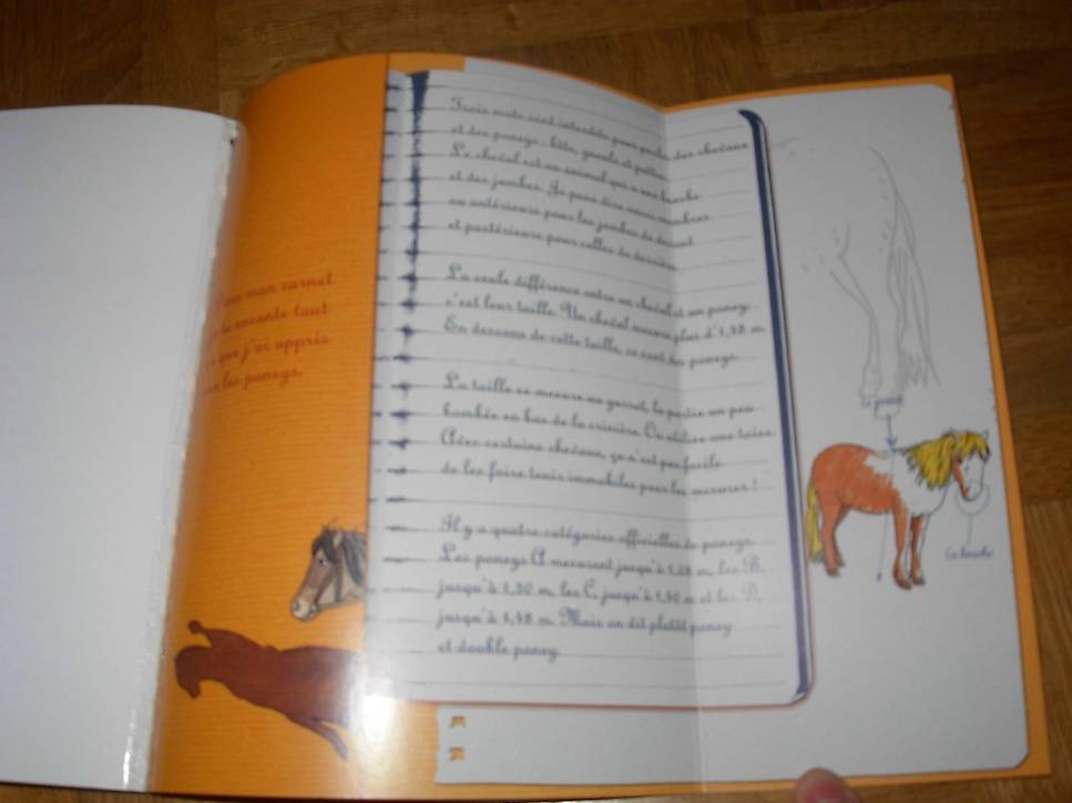 Livre S Rie Enfants Clara Et Les Poneys Canton Vaud Anibis Ch