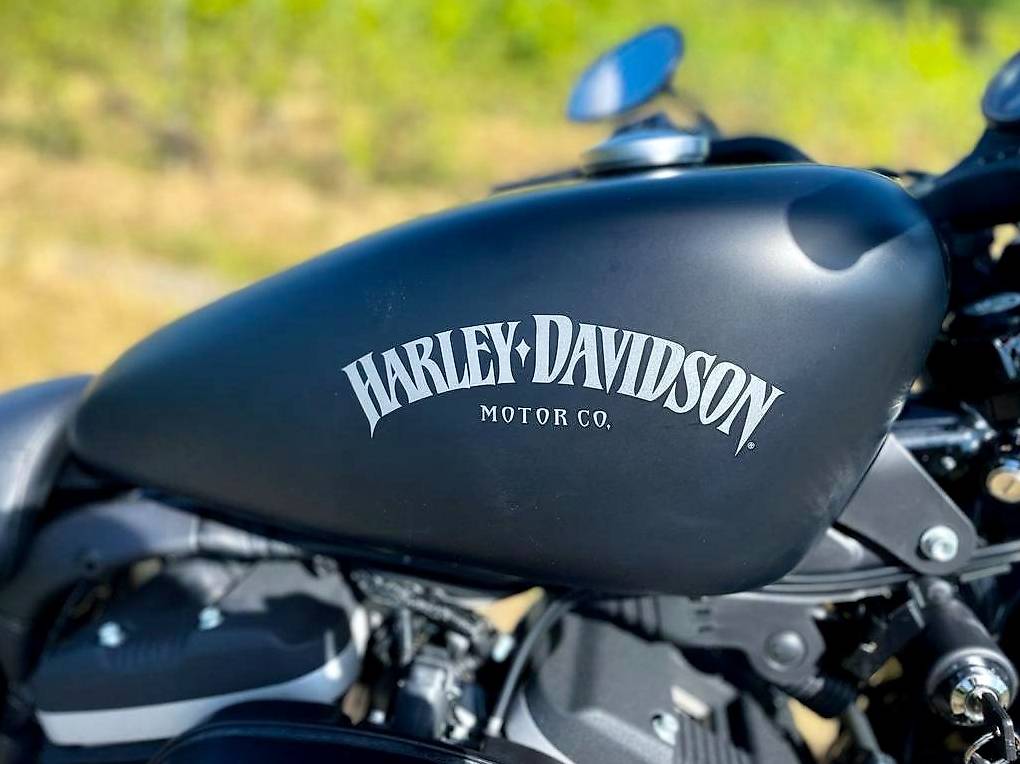 Exceptionnelle Harley Davidson Sportster Iron Canton Gen Ve Anibis Ch