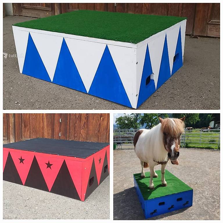 Neues Zirkus-Podest fr Pferde/Ponys nach Wunsch gestrichen im Kanton  Thurgau - anibis.ch