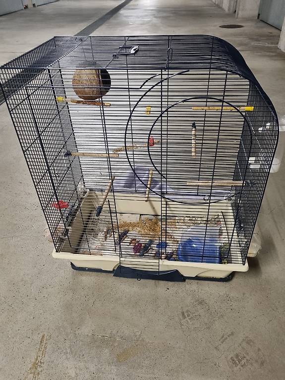 Cage pour oiseaux Canton Vaud anibis.ch