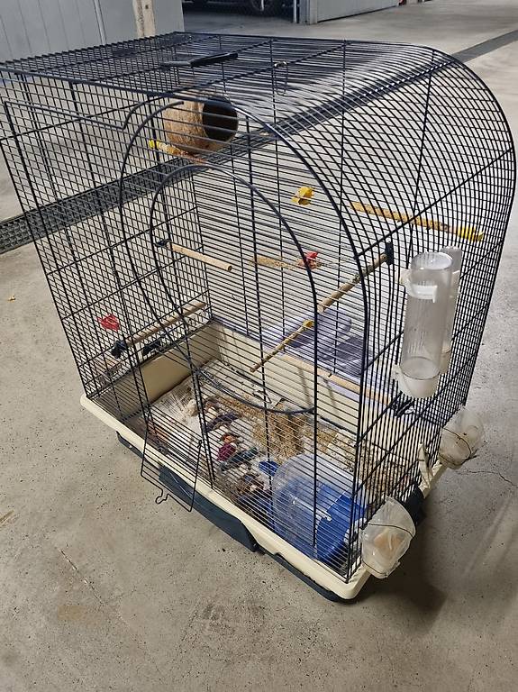 Cage pour oiseaux Canton Vaud anibis.ch