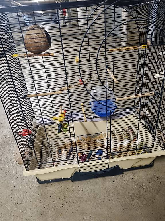 Cage pour oiseaux Canton Vaud anibis.ch