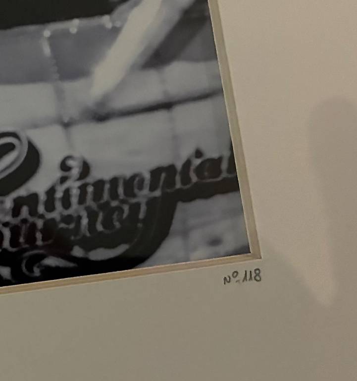 Tableau photo Olivier Lavielle « Blade Runner » Canton Vaud - anibis.ch