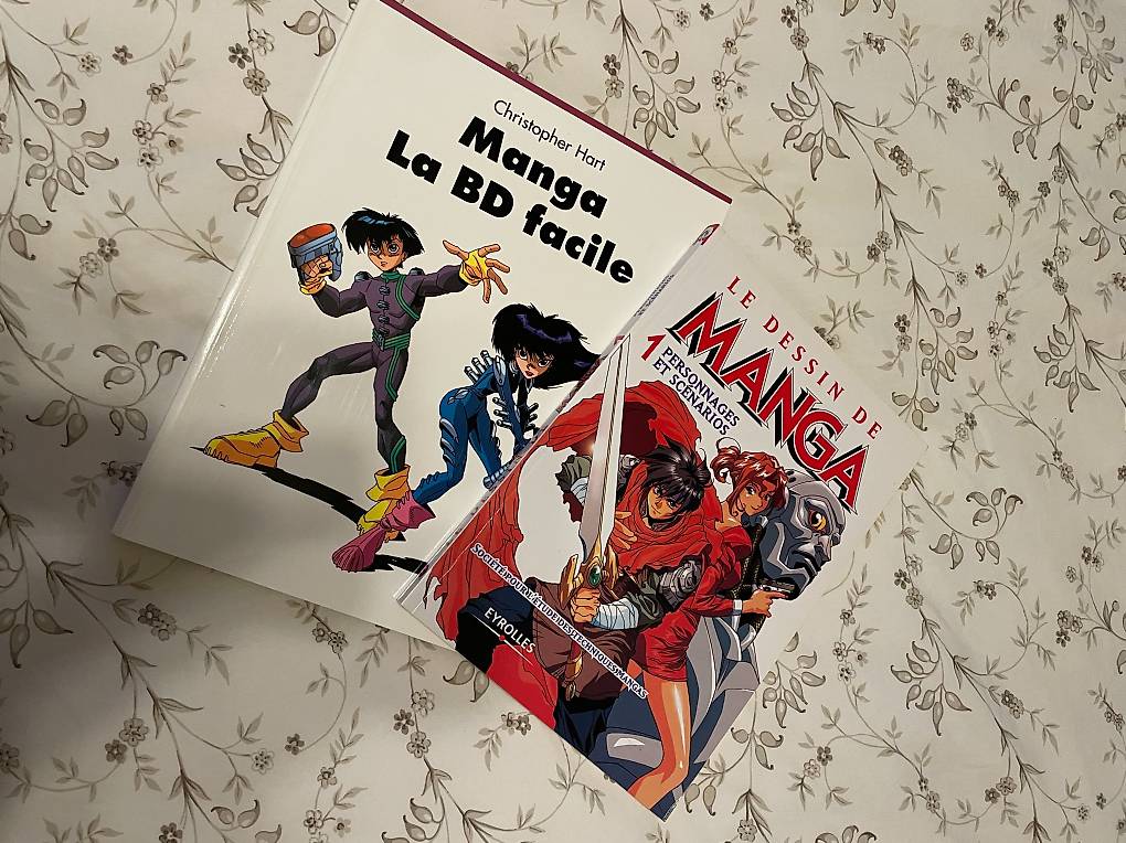 Le Dessin de Manga + Manga La BD Facile Canton Vaud - anibis.ch