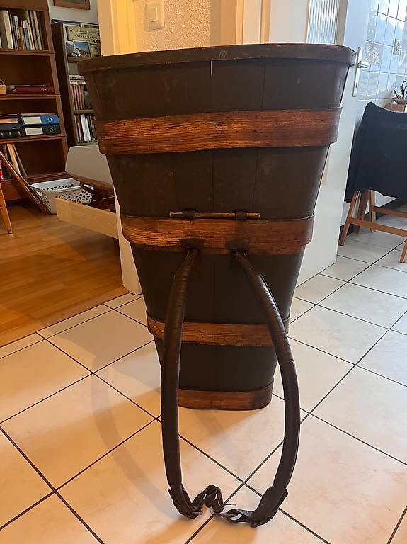 magnifique brante rustique Canton Valais - anibis.ch