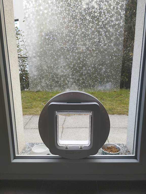 Vitre double vitrage avec chatière intégrée im Kanton Wallis - anibis.ch