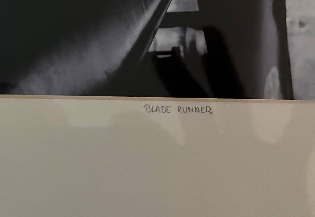 Tableau photo Olivier Lavielle « Blade Runner » Canton Vaud - anibis.ch