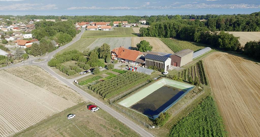 Appartement de 4.5 pces en duplex à louer à Delley-Portalban Canton ...