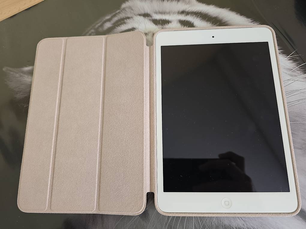 IPad Air (iPad 2) 16Go Wi-Fi - Très Bon état, Coque Incluse - Apple