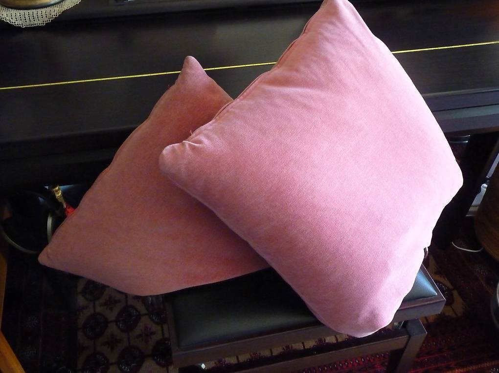 Coussin à recouvrir 55x55 garnissage Plumettes de canards coussin Plumes