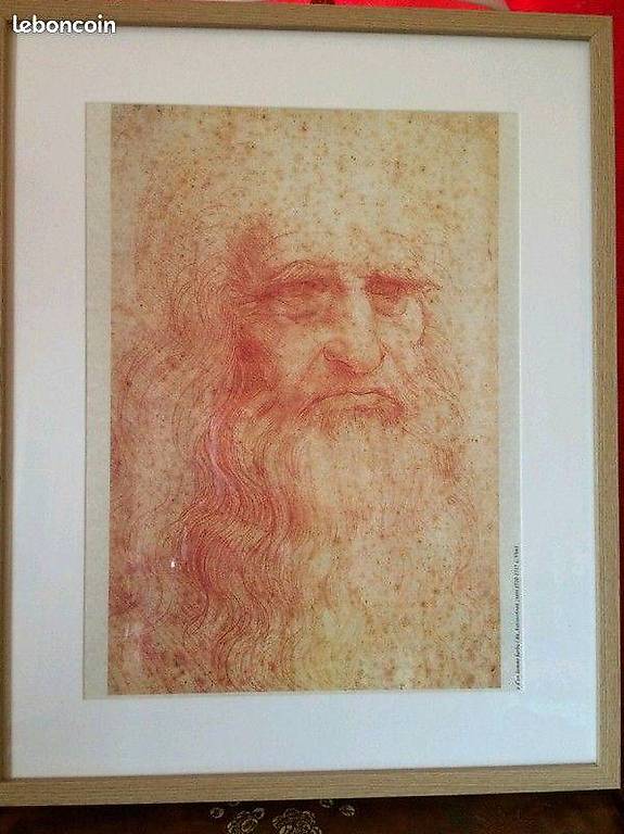 Gravure Autoportrait Léonard de Vinci Canton Vaud anibis.ch