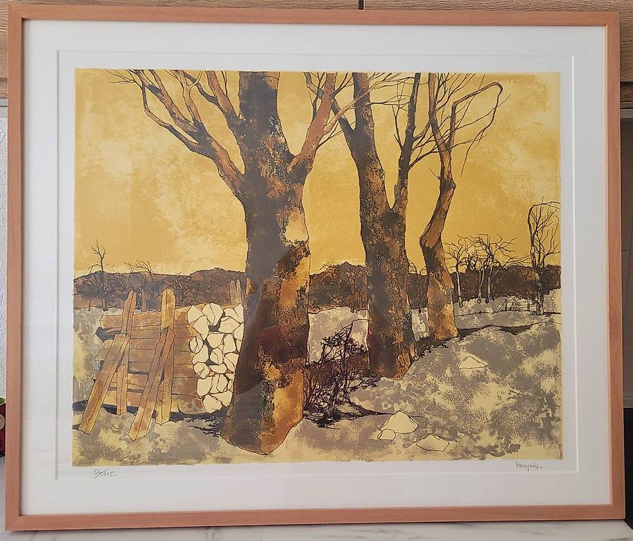 Lithographie Alain Bonnefoit Canton Valais - anibis.ch
