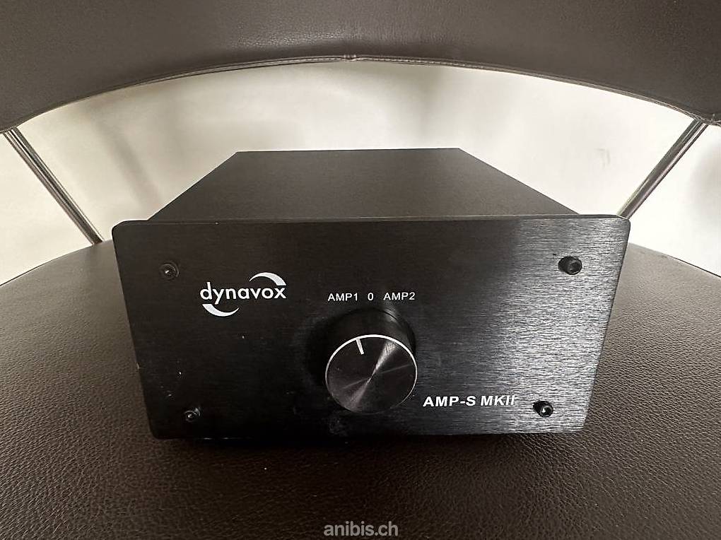 Commutateur Dynavox AMP-S MKII argenté, Amplificateurs
