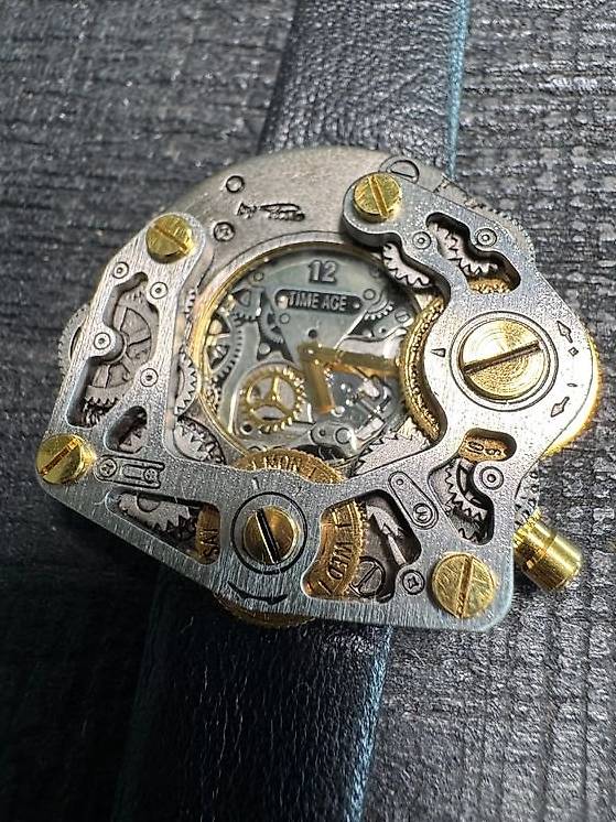Steampunk Skeleton - Time Age by Pino im Kanton Zürich - anibis.ch