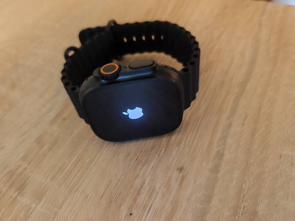 Apple Watch Ultra 3 im Kanton Aargau - anibis.ch