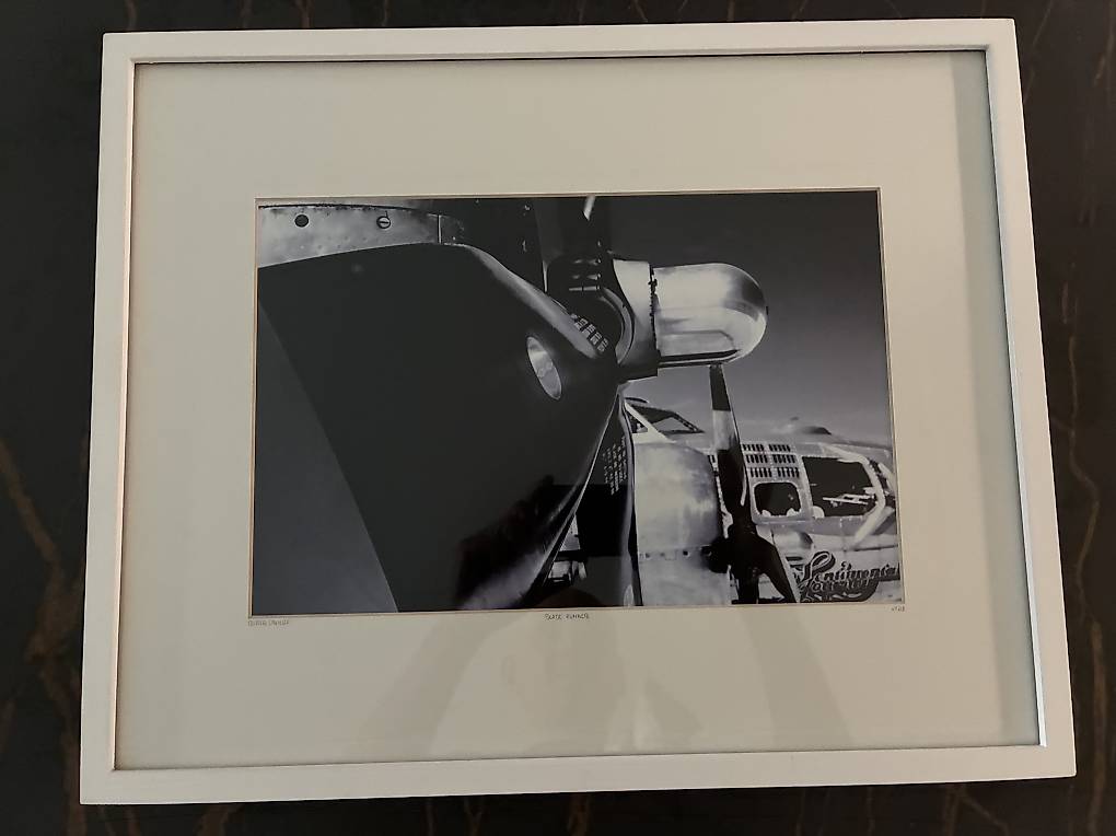 Tableau photo Olivier Lavielle « Blade Runner » Canton Vaud - anibis.ch