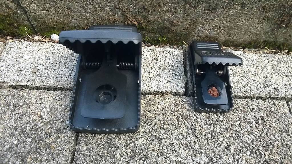 Mäuse bekämpfen Ratten bekämpfen Haus und Garten. Canton SaintGall